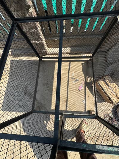 Cage for pet