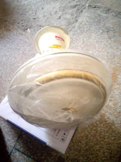 Royal fan Genuine condition