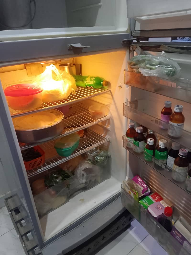 Fridge 1