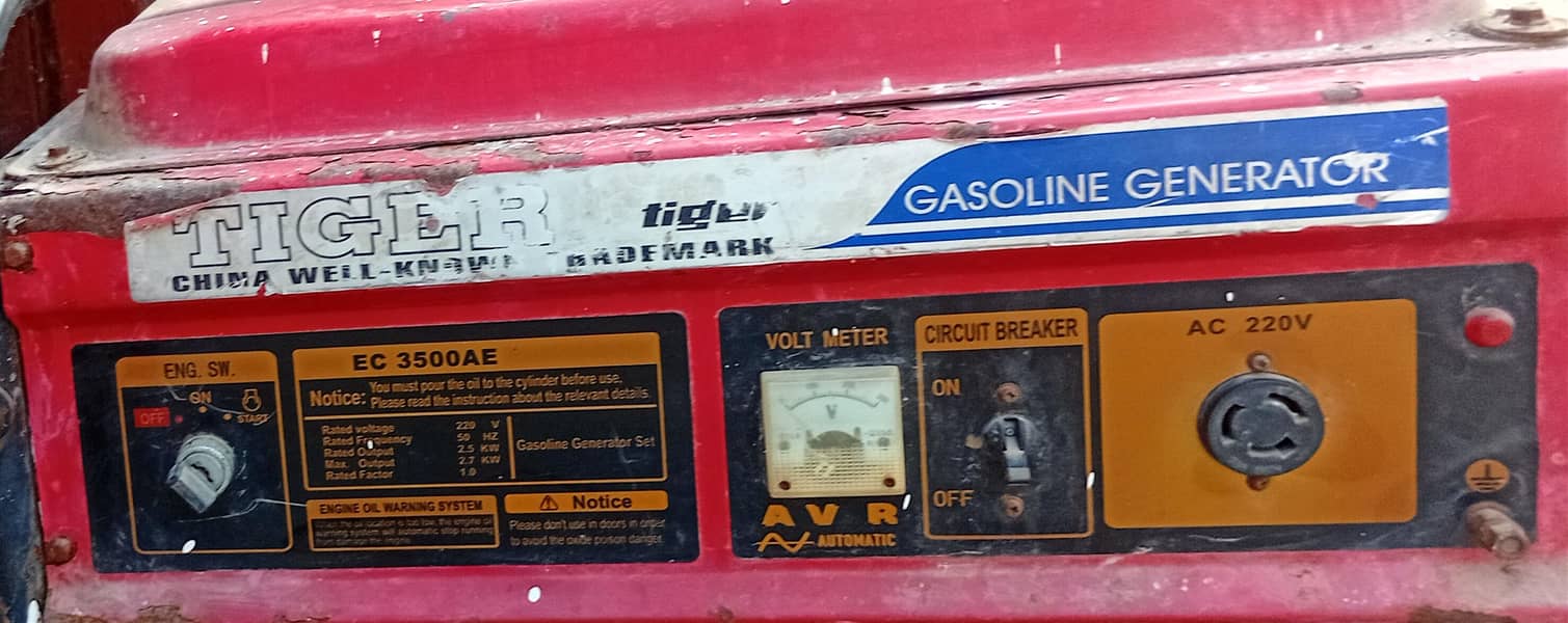 tiger compny 1