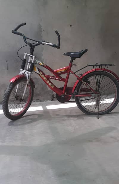 Flying horse bicycle 20 inch sports cycle