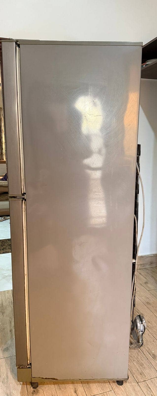 Pel fridge 4