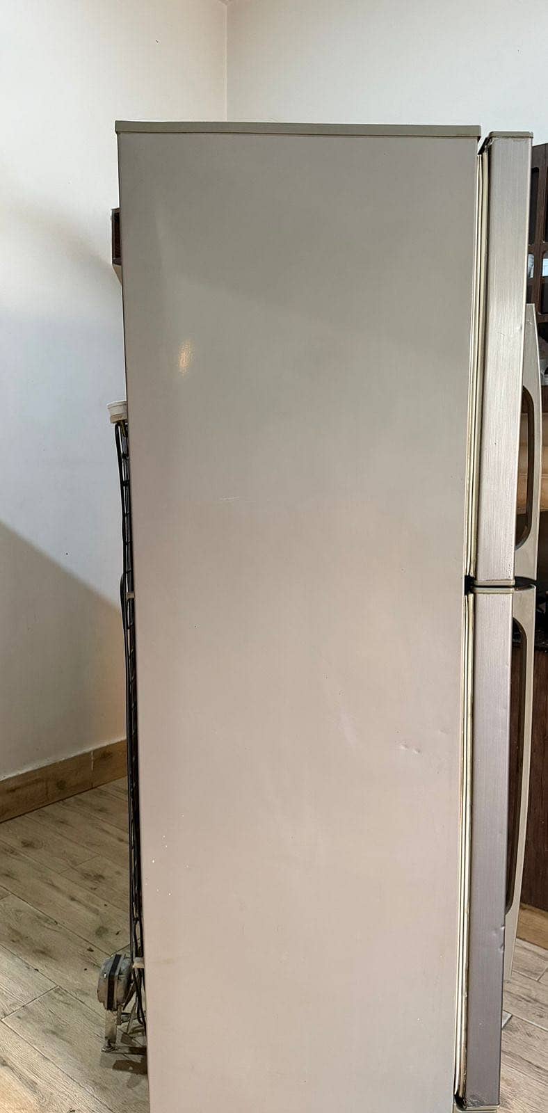 Pel fridge 5
