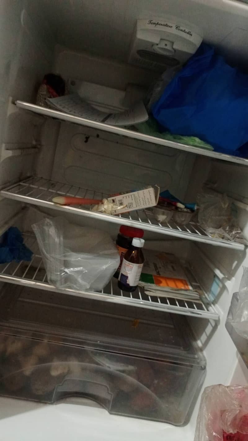 Fridge 5