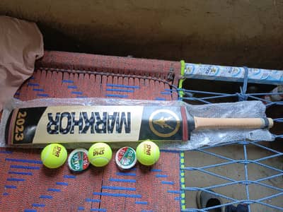 Rawlakot bat