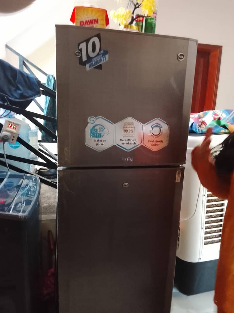 PEL FRIDGE 1