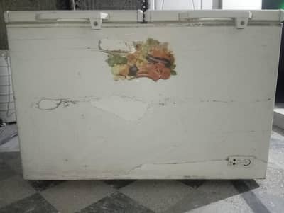 Double door deep freezer