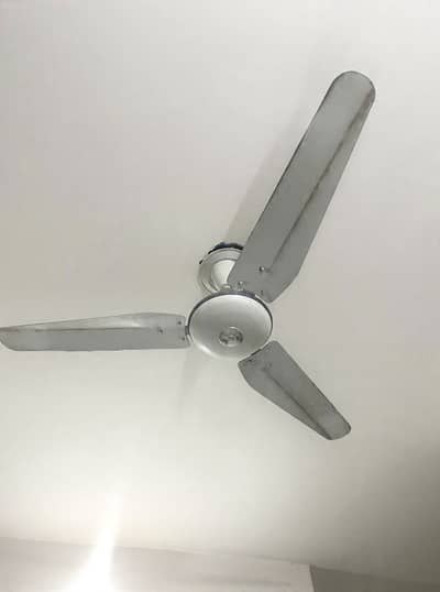 Celling fan for sale