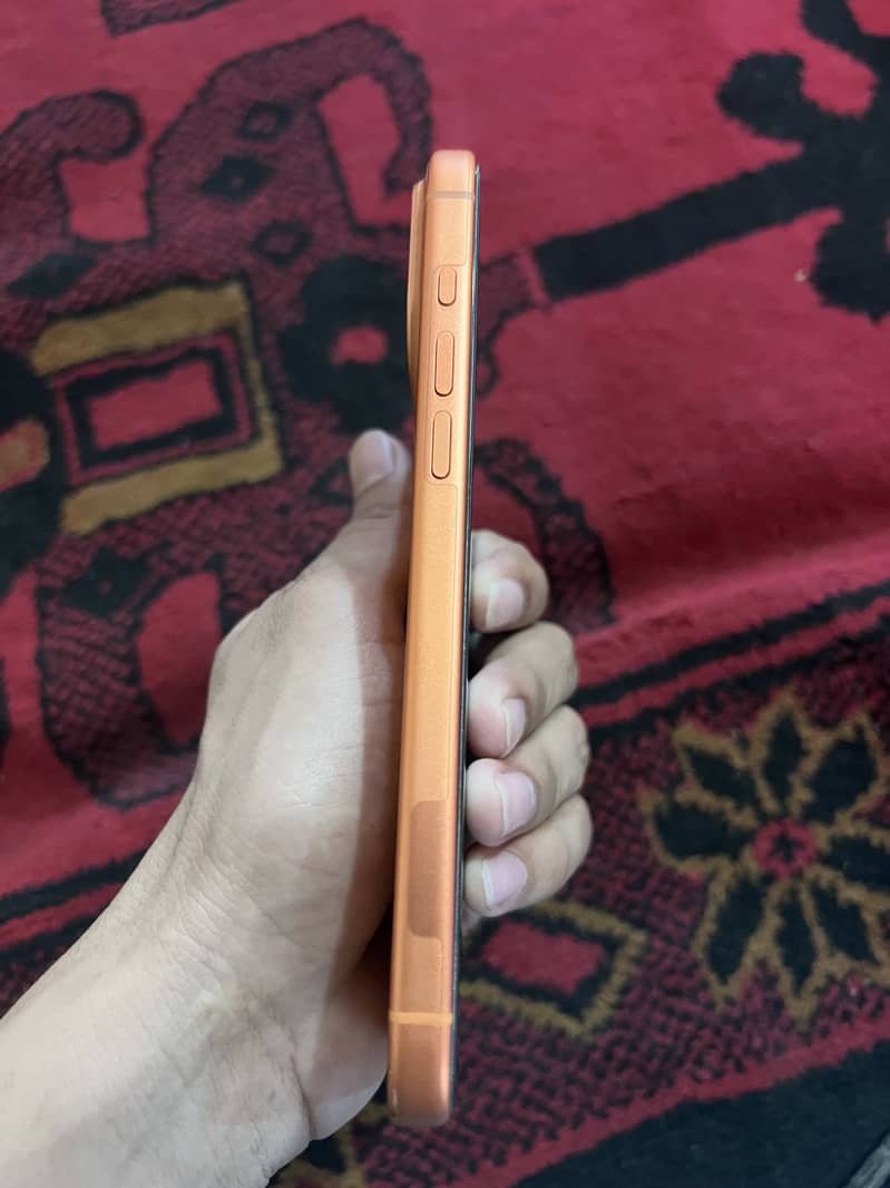 17 pro max 4