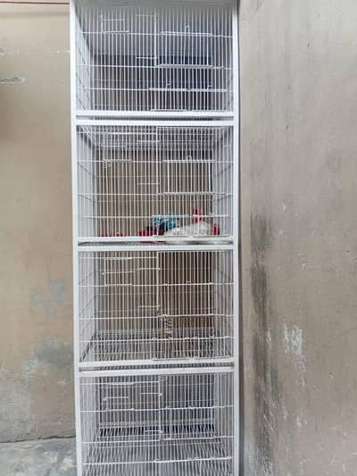 birds cage for sale