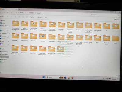 Lenovo ThinkPad X395