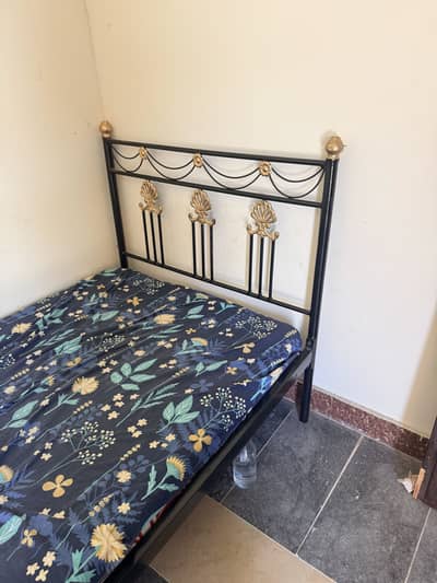 03 Single Beds with Master Molty Foam Mattresses 5”