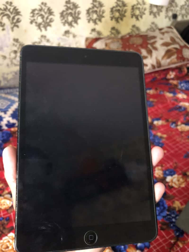 iPad Mini 0