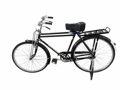 Baba cycle 22 size