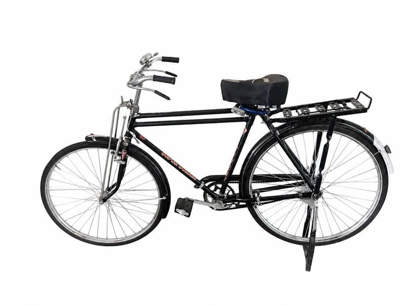 Baba cycle 22 size 0