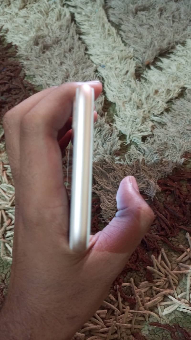 Apple iPhone 8 Plus 1