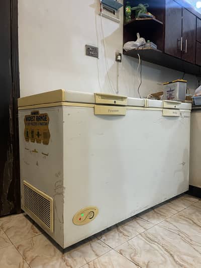 Deep double door Freezer