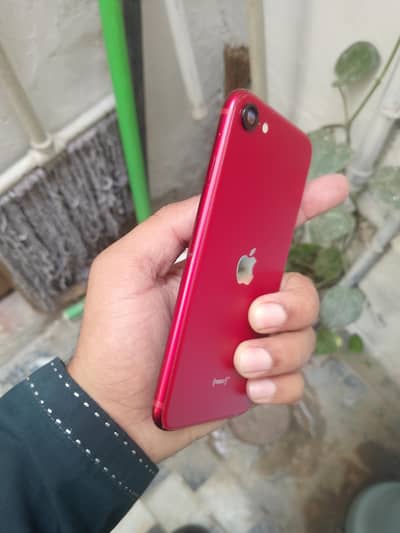 iphone se 3 256