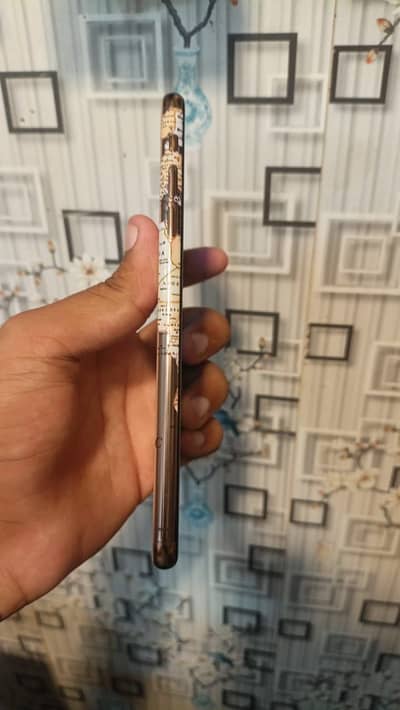 Iphone xsmax 256gb lush phone