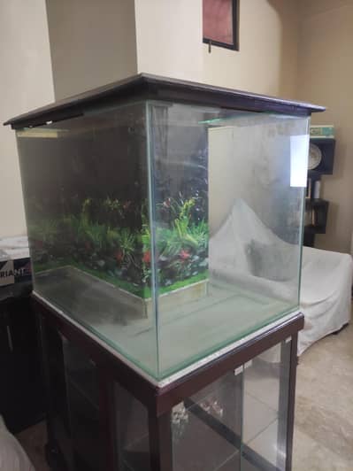 U shape aquarium with trolly . both are unused. led lights in trolyly