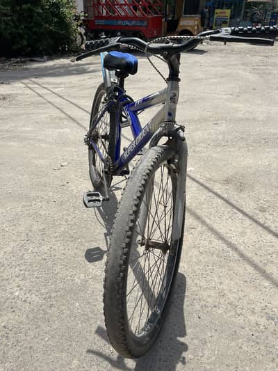 Super orient cycle