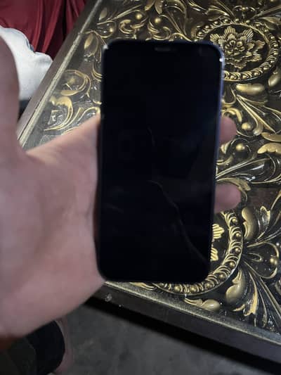Iphone 12 pta approved