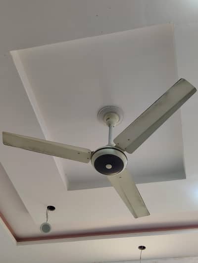 prime ceiling fan for sale