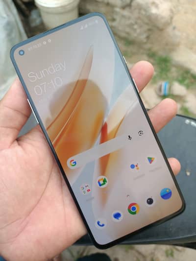 12/256 one plus 8t 5g pta approved