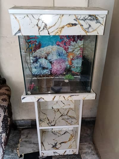 fish eqvarium