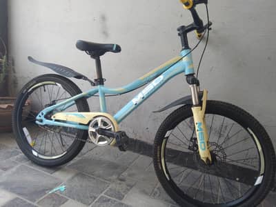 cycle 22 inch 8 se 15 sal k ly
