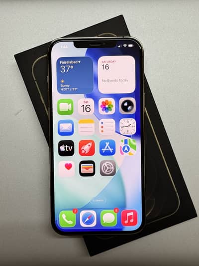iPhone 12 Pro Max PTA Approved
