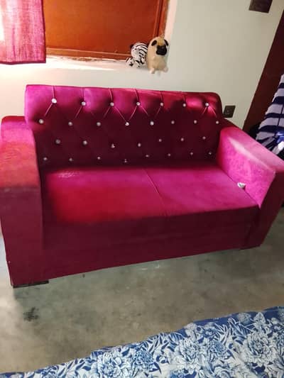 jis ko chyea rapta kr, contact nabr 03115365666