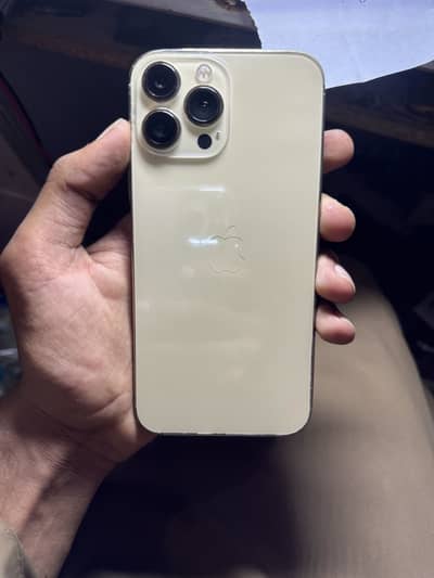 iPhone 13 Pro Max