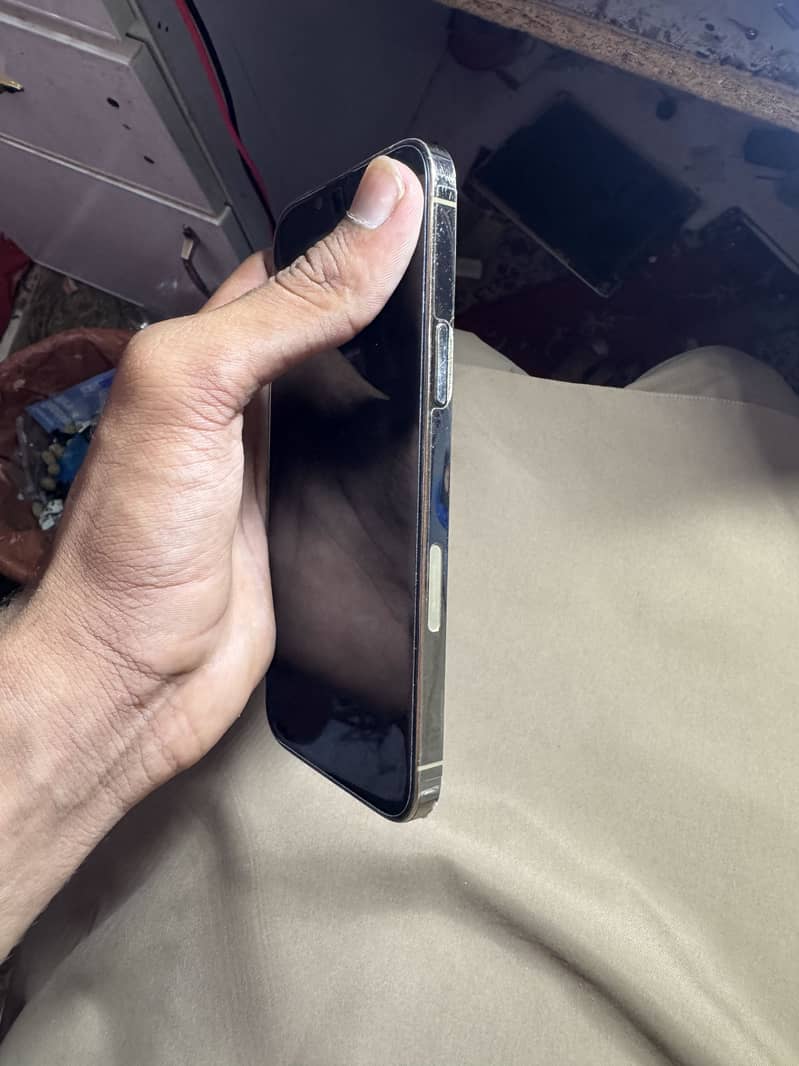 iPhone 13 Pro Max 1