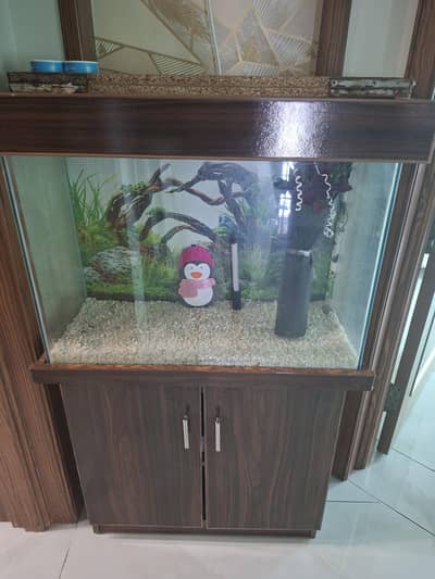 Fish Aqurium For sale