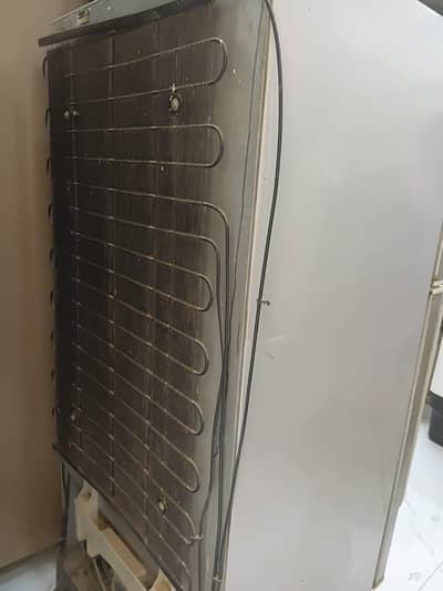 HAIER REFRIGERATOR