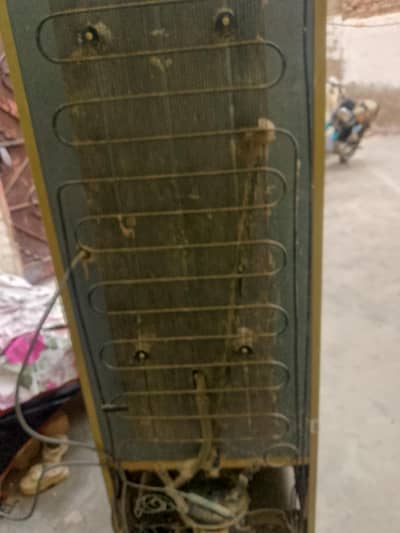 fridge for sale