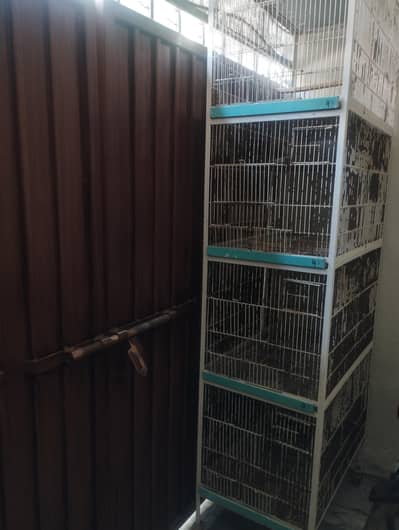 Lovebird cage