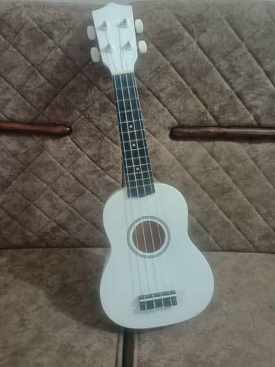 21 inch ukulele
