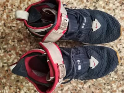 Brand New nike lebron James