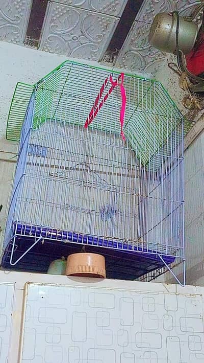 cage For Birds