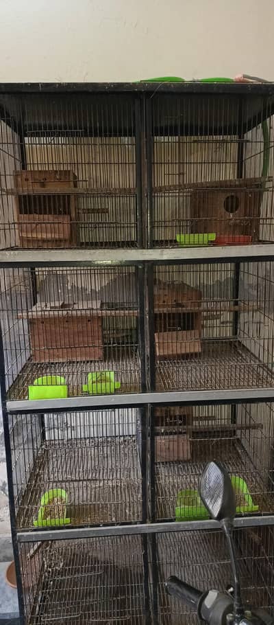 Birds Cage 8 Portions and 5 Boxes