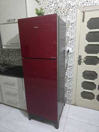 haier fridge bilkul new condition main ha