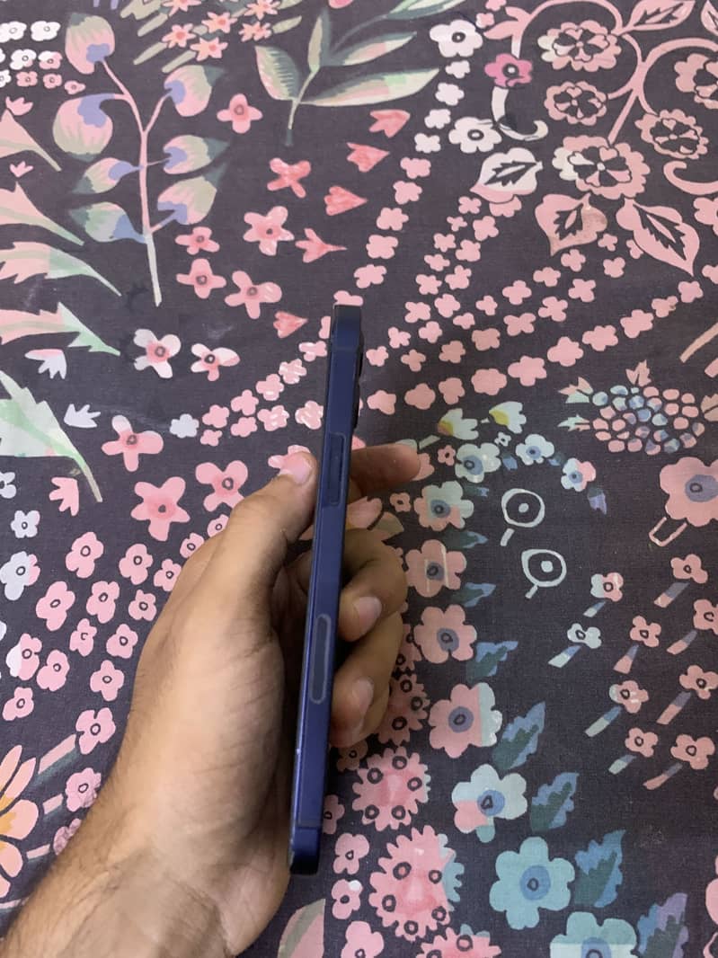 IPHONE 12 5