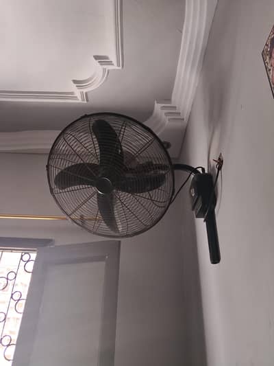 royal fan