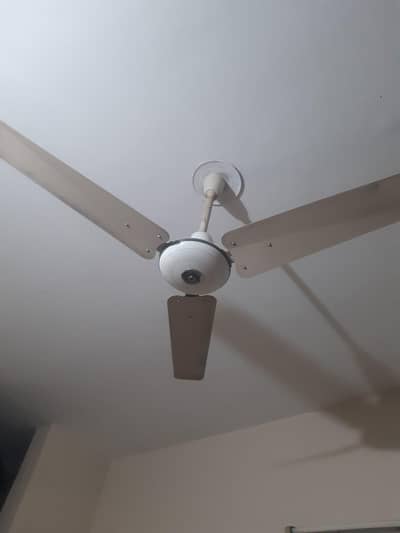 56inch celling fan royal compny 240volt  best condition