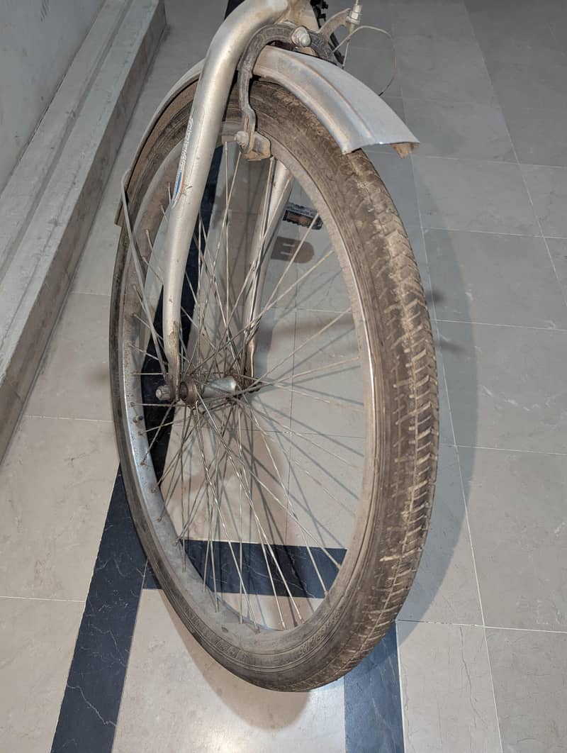 Bicycle ( full size ) 1