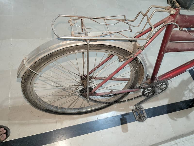 Bicycle ( full size ) 2