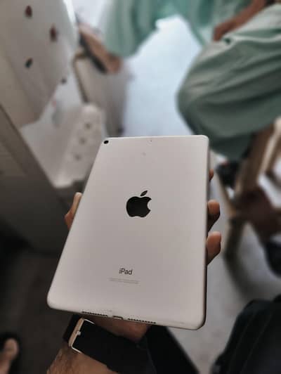 i pad mini 5