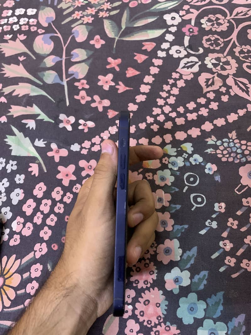 IPHONE 12 5